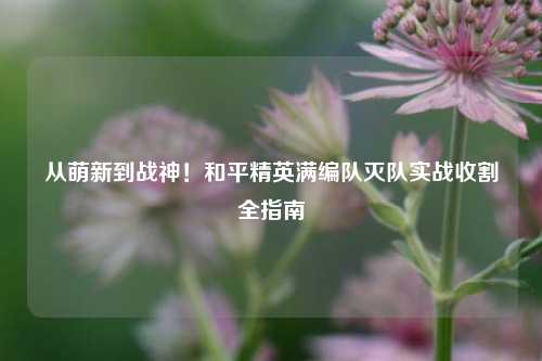 从萌新到战神！和平精英满编队灭队实战收割全指南