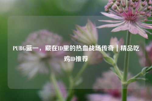 PUBG蓝一，藏在ID里的热血战场传奇｜精品吃鸡ID推荐