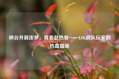 峡谷并肩逐梦，青春赴热爱——LOL战队玩家的热血篇章