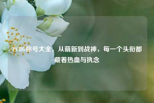 PUBG称号大全，从萌新到战神，每一个头衔都藏着热血与执念