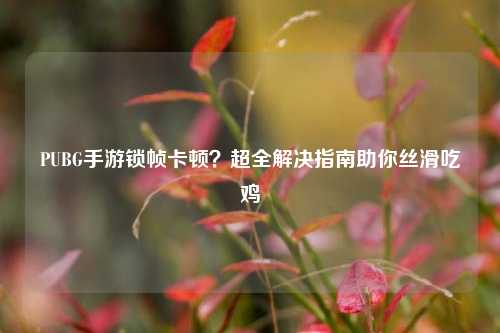 PUBG手游锁帧卡顿?超全解决指南助你丝滑吃鸡
