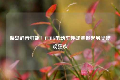 海岛静音狂飙!PUBG电动车趣味赛掀起另类吃鸡狂欢